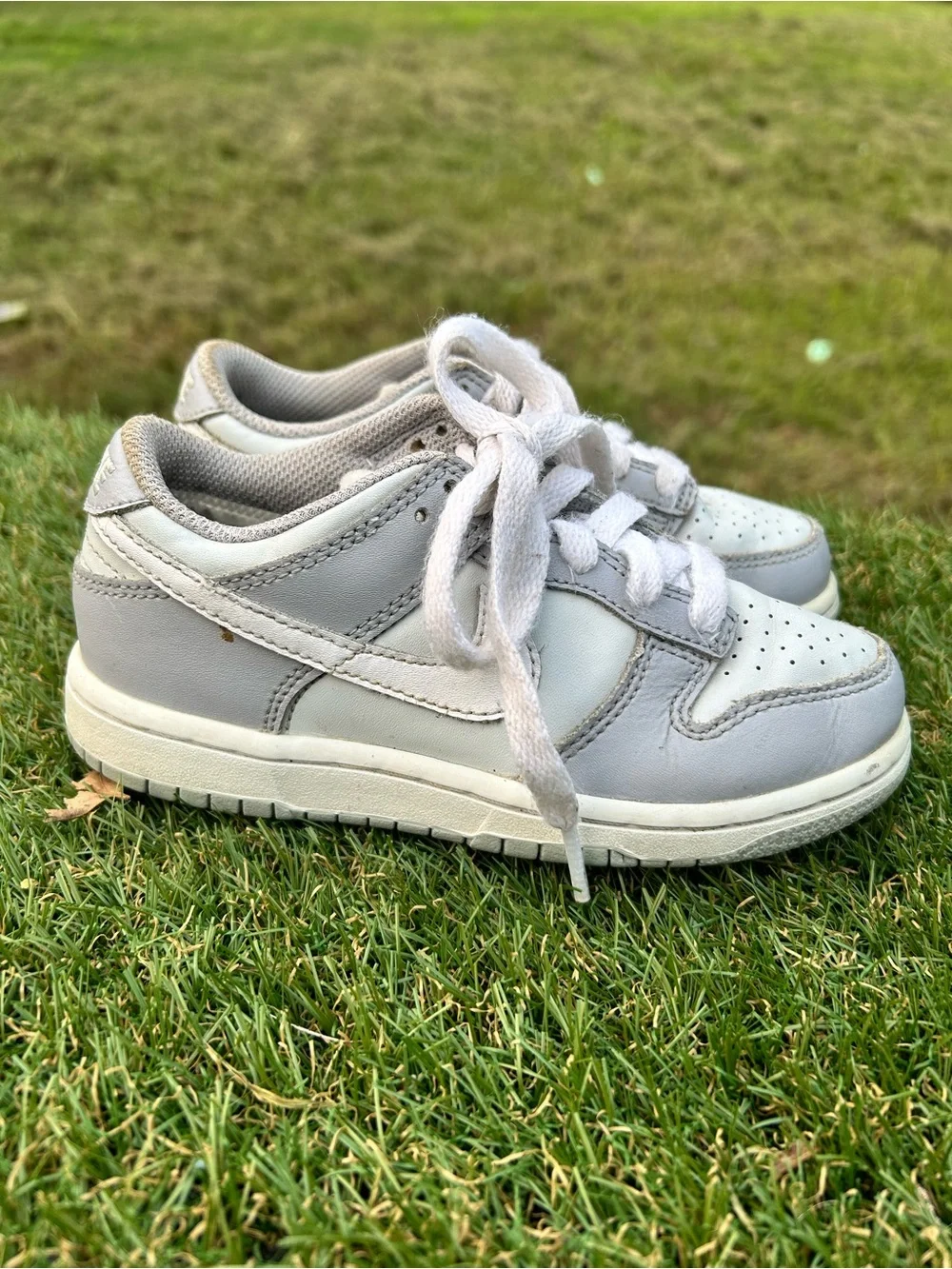 Nike Dunk Low PS Wolf Grey White DH9756-001 Kids Size 11 1/2 C,Sneakers